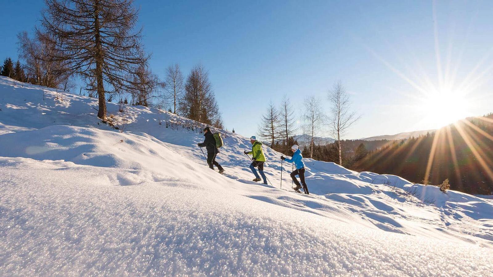Pension Gasthof Arriach ภายนอก รูปภาพ